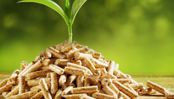 Biomass Pellet Factory