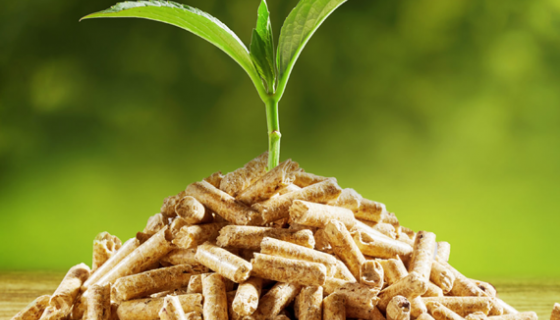 Biomass Pellet Factory